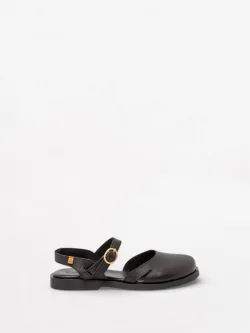 Arenisca N5874